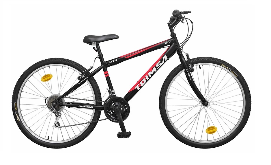 BICICLETA MTB 24