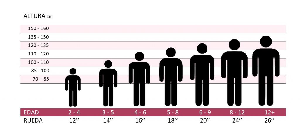 tabla comparativa para altura y edad por pulgadas